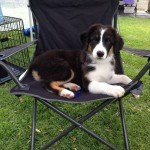 Wiki 4 Months – Ocean View Show BOS-P