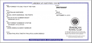 AKC Registration