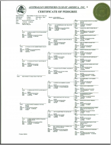 ASCA Pedigree